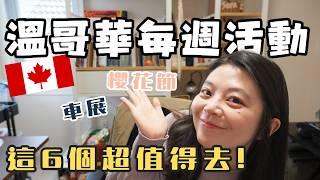 溫哥華每週活動 | 今年櫻花季超豐富的活動、超大型車展、美食節、5K泡沫障礙跑...都好想去!!