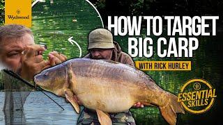 HOW TO TARGET BIG CARP