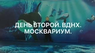 Москва.ВДНХ. Москвариум