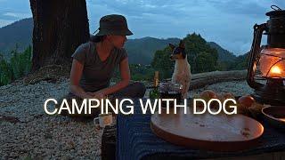 【CAMPING with Dog】Misty Woods, Tarp, Mokapot, Outdoor Coffee, Yunkai Campsite