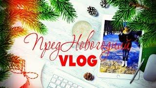 ПРЕДНОВОГОДНИЙ VLOGТатьяна Рева