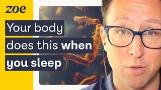 How to reduce overnight gut inflammation | Dr. Will Bulsiewicz & Prof. Tim Spector