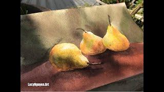 [ Speedpaint ] Still life drawing - Vẽ tĩnh vật màu nước