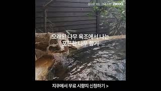 이솝 휠 오드퍼퓸 = 피톤치드향? 스파받고 나온 향?뭔지 잘 모르겠다면?