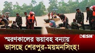 শেরপুর-ময়মনসিংহের বন্যা পরিস্থিতির অবনতি | Sherpur | Mymensingh | Flood News | Desh TV