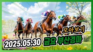 2025년 5월 30일 금요  부산경마 전체경주 모아보기
