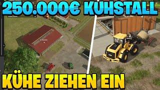 Neue TIERE ziehen auf den HOF | [XXL FARM] Farming Simulator 25 #013