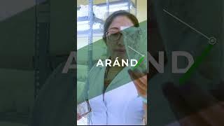 Arándanos IN VITRO - Chinecas
