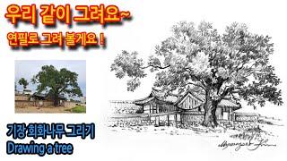 기장 장관청 회화나무 그리기Drawing a tree#그림독학#여행드로잉