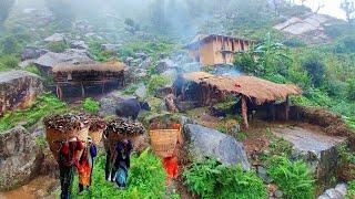 This is Himalayan village life in Nepal ||daily Activities people in Nepali mountain village lifesty