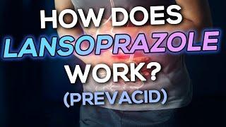 Lansoprazole (Prevacid) Nursing Drug Card (Simplified) - Pharmacology