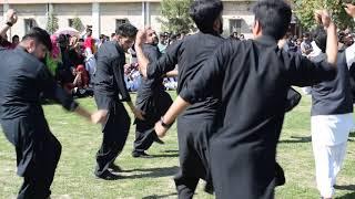 Hazara Culture Dance COMSATS ISLAMABAD | Hazara Dance Pakistan | Hazara Student