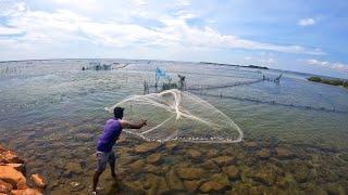 Amazing Cast Net Fishing In Crystal Clear Saltwater I Cast Net Throwing