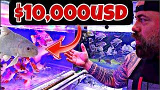 UNBELIVABLE Variety of FISH at THAILAND'S Largest FISH MARKET - A Must-See Tour!