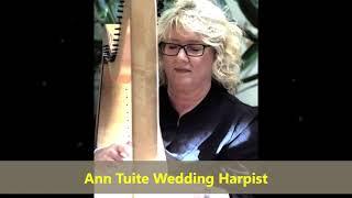 Leinster Wedding Suppliers - Ann Tuite Wedding Harpist Ireland