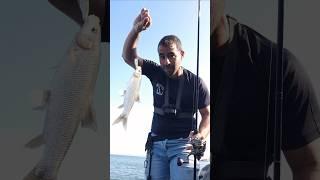 הסבר איך לדוג עם ציקדה בכנרת ונעילה באמצע ההסבר 