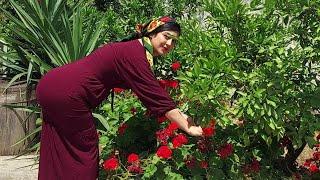 The routine of a beautiful girl in the village, the simplest way to cook strawberry jam