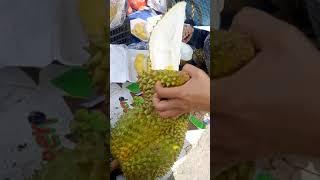Khui sầu riêng mua ở chợ #shorts│Yêu Miền Tây 63