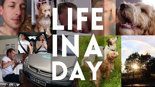 LIFE IN A DAY 2020