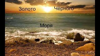 Золото Черного Моря. The Gold Of The Black Sea