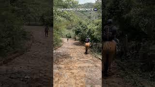 GUAYMANGO  SONSONATE #shortvideo #elsalvador #usa #travel #elcampo #amazing #behappy