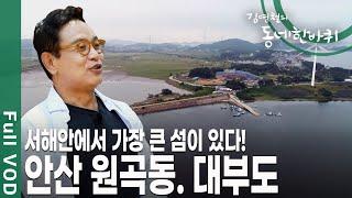 100여 개국 외국인이 둥지 짓고 살아가는 원곡동, 서해안에서 가장 큰 섬 대부도가 있는 곳 '안산' [김영철의 동네 한 바퀴 KBS 20190727 방송]