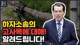 하자소송에서의 고사목에 대해 알려드립니다.