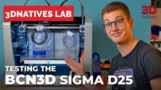 Review of BCN3D’s Sigma D25 3D Printer | 3Dnatives Lab