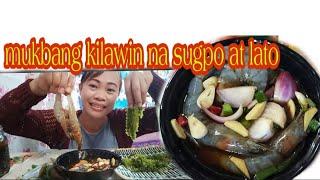 Mukbang kilawin na sugpo at lato.|| @inday neneth vlog