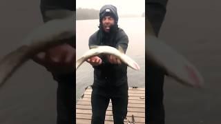 Funny Fishing #abhooked #funnyvideo #fishingfails