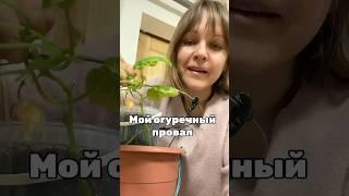 История в комментариях. А больше жизни в телеграмме ЛЕНКИН ОГОРОД #огород #дача #деревня #грядки