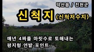 [진천]_ 신척지 4짜 대물터 / 매년 4짜 붕어 출몰 포인트 / 평지형 연밭 대물터 / 배스터 / 충북 진천군 덕산읍 신척리 신척저수지