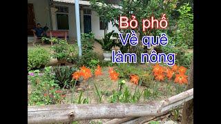 Bỏ phố về quê làm nông (chăn nuôi, trồng trọt), có dễ ăn? | THÍCH TRỒNG CÂY TV