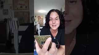 THIS partnership is recognized by the DIVINE invitro sit. Compatibility hormonal balance REQUIRED