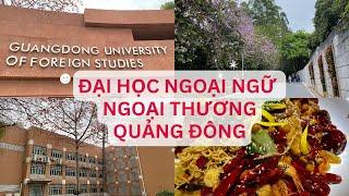 Đại Học Ngoại Ngữ Ngoại Thương Quảng Đông 广东外语外贸大学 GDUFS | Du học Trung Quốc