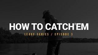 Ledge Fishing: Part 3 - How to Catch "Em