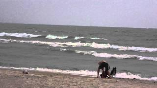 Flying kite at Pleasant Beach