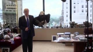 Águila ataca a Donald Trump