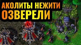 CasCraft: Самая АГРЕССИВНАЯ стратегия за Нежить в Warcraft 3 Reforged