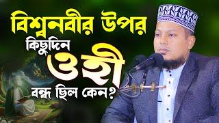 বিশ্বনবীর উপর আল্লাহ ওহী বন্ধ করেছিলেন কেন?? হাফেজ ইব্রাহিম খলিল | H.M. Ibrahim Khalil Bangla Waz