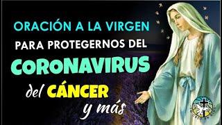 ORACIÓN A LA VIRGEN MARÍA PARA QUE NOS PROTEJA DE GRAVES ENFERMEDADES, CORONAVIRUS, CÁNCER Y MÁS