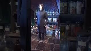 HAPPY POTTER and Professor Snape, VISIT of Warner Bros studio in  London, Magical tour of Hogwarts