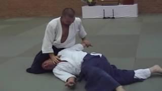 2008 Birankai Aikido Summer School - Paul Robinson 5 dan