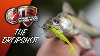 PREDATOR BASICS #3 | How to fish the Dropshot For Perch and Zander | Lure fishing made easy!