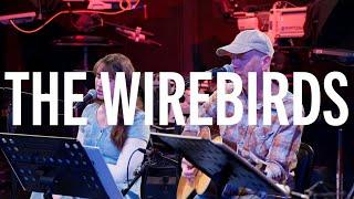 WUFT Amplified: The Wire Birds