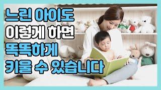 느린 아이도 영재도 이렇게 키우면 커서 영재가 됩니다 | 학습법, 원칙, 주의할 점