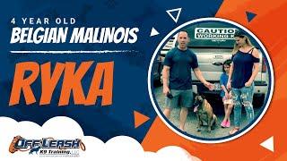 4 Year Old Belgian Malinois Ryka!|Best Dog Trainers VA|14 Day Transformation