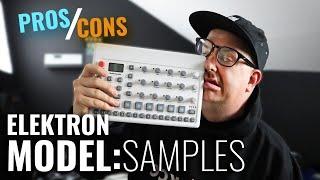 PROS AND CONS OF THE MODEL: SAMPLES FROM ELEKTRON