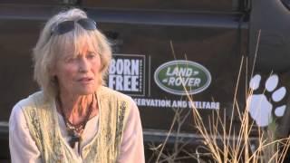 Virginia McKenna