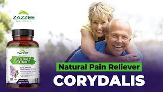 Zazzee Corydalis - All-Natural Pain Reliever, Supports a Healthy Mood and Overall Liver Health